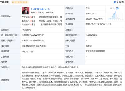 風(fēng)投城市合肥的新能源故事與二手日用百貨銷售的啟示